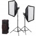 Godox Litemons LA150D 2-Light Kit